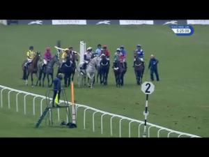 Video preview image for Newbury 17:25 - West Berkshire Racing Club Mares' Standard Open National Hunt Flat (5)