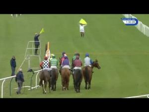 Video preview image for Newbury 13:30 - William Hill 'High 5' Supporting Greatwood Seniors' Handicap Hurdle (3)