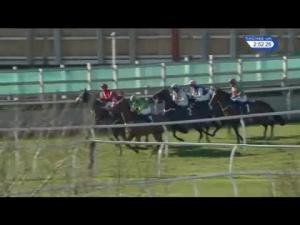 Video preview image for Catterick Bridge 14:50 - Hunt Staff Benefit Society Handicap Chase