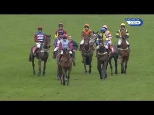 Video preview image for Sandown Park 14:30 - Dumenil Champagne 'National Hunt' Novices' Hurdle