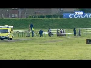 Video preview image for Ayr 16:30 - Arthur J Gallagher Chase (Novices' Limited Handicap)