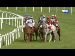 Video preview image for Sandown Park 13:20 - Matchbook Betting Exchange Juvenile Handicap Hurdle