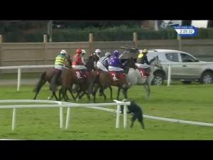 Video preview image for Sandown Park 14:25 - Better Odds With Matchbook Handicap Chase