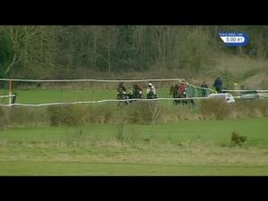 Video preview image for Warwick 17:00 - 188Bet Air Wedding Open Hunters' Chase