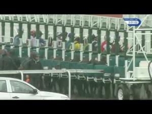 Video preview image for Kempton Park 15:00 - Matchbook Betting Podcast Handicap