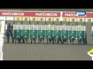 Video preview image for Kempton Park 15:30 - Winners Welcome At Matchbook Exchange Maiden Fillies' Stakes (Plus 10)