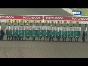 Video preview image for Kempton Park 16:00 - Matchbook Traders Conference Maiden Stakes
