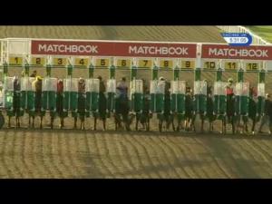 Video preview image for Kempton Park 17:30 - Matchbook Betting Exchange Handicap