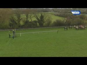 Video preview image for Warwick 14:20 - Executive Hire Show Maiden Hurdle