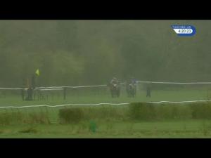 Video preview image for Warwick 16:20 - Ricoh Arena Mares' Handicap Hurdle