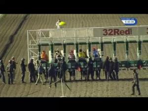 Video preview image for Kempton Park 18:45 - 100% Profit Boost At 32redsport.com Median Auction Maiden Stakes