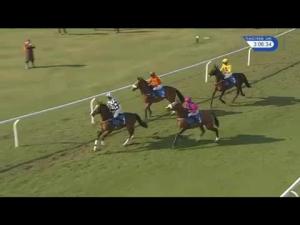 Video preview image for Ludlow 15:05 - Alfa Aggregate Products Novices' Chase