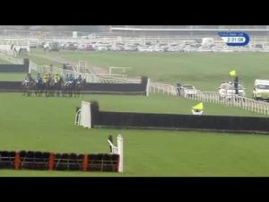 Video preview image for Newbury 14:30 - Be Wiser Insurance Handicap Chase