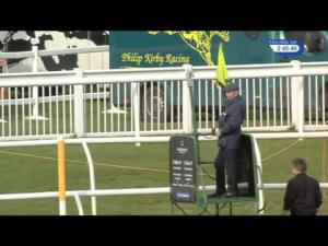 Video preview image for Musselburgh 14:45 - Racing UK Profits Returned To Racing Novices' Hurdle