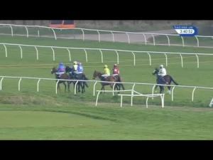 Video preview image for Newbury 15:40 - Oakley Coachbuilders Novices' Limited Handicap Chase (For The Brown Chamberlin Trophy)