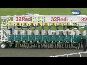 Video preview image for Kempton Park 18:55 - 32Red On The App Store Maiden Stakes