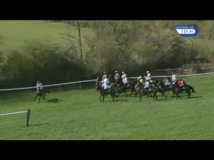 Video preview image for Warwick 13:50 - Premier League Darts At 188Bet Maiden Hurdle