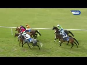 Video preview image for Ludlow 15:30 - Boyne Cup (Handicap Chase)