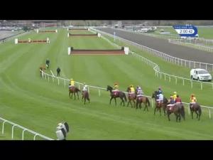 Video preview image for Kempton Park 14:00 - Velux Company Ltd. Novices' Hurdle
