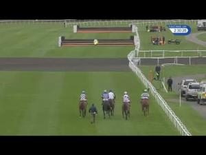 Video preview image for Kempton Park 14:30 - Trust Klober Novices' Chase