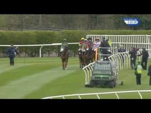 Video preview image for Aintree 14:20 - Doom Bar Anniversary 4-y-o Juvenile Hurdle (Grade 1)