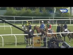 Video preview image for Aintree 15:00 - Doom Bar Maghull Novices' Chase (Grade 1)