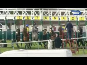 Video preview image for Redcar 15:50 - Become A Redcar Annual Badgeholder Today Maiden Stakes (Div 2)
