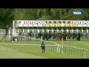 Video preview image for Nottingham 14:50 - Totequadpot Insure Your Placepot Last Four Conditions Stakes (Plus 10)