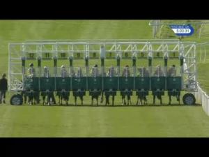 Video preview image for Catterick Bridge 17:00 - racinguk.com Handicap (Div 2)