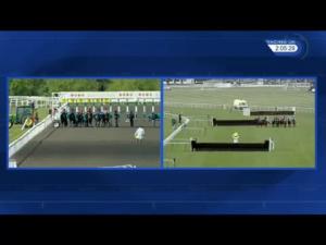 Video preview image for Haydock Park 14:05 - Challenger Middle Distance Chase Series Final Handicap Chase