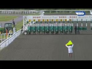 Video preview image for Kempton Park 15:10 - Follow At racing_UK On Twitter Handicap