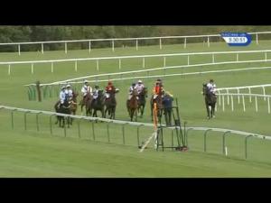 Video preview image for Haydock Park 17:30 - Tim Molony Handicap Chase
