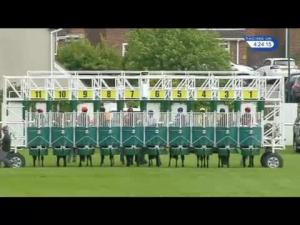 Video preview image for Redcar 16:20 - Racing UK Straight Mile Handicap (Str)