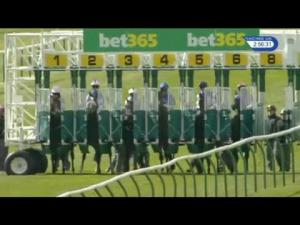 Video preview image for Newmarket 14:55 - EBF Stallions Bet365 Conditions Stakes (Plus 10)