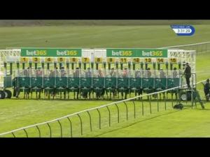 Video preview image for Newmarket 15:30 - Plusvital Racing Genepak Handicap