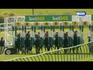 Video preview image for Newmarket 16:05 - Bet365 Feilden Stakes (Listed)