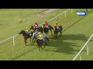 Video preview image for Ludlow 17:30 - J T Vobe Electrical Contracting Handicap Chase