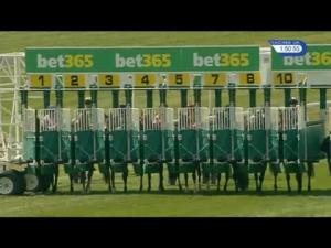 Video preview image for Newmarket 13:50 - Weatherbys General Stud Book Online Handicap