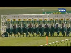 Video preview image for Newmarket 15:35 - Lanwades Stud Nell Gwyn Stakes (Fillies' Group 3)