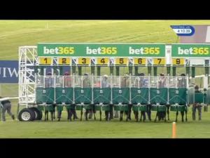 Video preview image for Newmarket 16:10 - Bet365 EBF Maiden Fillies' Stakes (Plus 10)