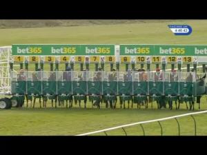 Video preview image for Newmarket 16:45 - Bet365 EBF Stallions Maiden Fillies' Stakes (Plus 10)