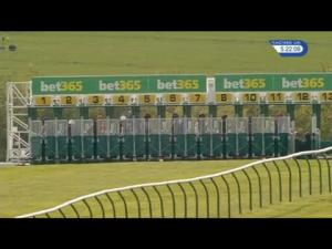 Video preview image for Newmarket 17:20 - Bet365 Handicap