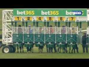 Video preview image for Newmarket 14:25 - Bet365 Handicap