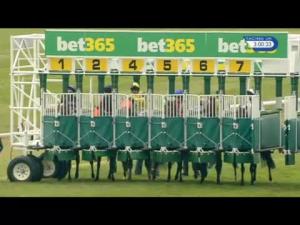 Video preview image for Newmarket 15:00 - Connaught Access Flooring Abernant Stakes (Group 3)