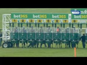 Video preview image for Newmarket 16:10 - Rossdales Maiden Fillies' Stakes (Plus 10)