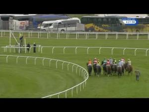 Video preview image for Cheltenham 16:20 - Kingston Stud Supporting The Ijf Handicap Hurdle