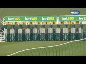 Video preview image for Newmarket 16:45 - Bet365 EBF Stallions Maiden Stakes (Plus 10)