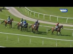 Video preview image for Bangor-On-Dee 14:00 - Alfa Aggregate Products Maiden Hurdle