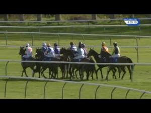 Video preview image for Ayr 16:30 - Ayrshire Hospice Land O'Burns Starlight Walk Handicap Hurdle