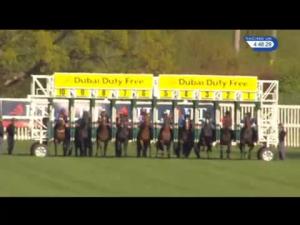 Video preview image for Newbury 16:45 - Dubai Duty Free Tennis Championships Maiden Stakes (Plus 10) (Str) (Div 2)